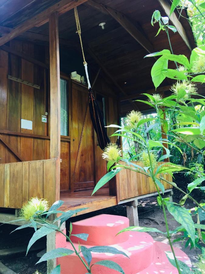 Cabañas Armonía y Jardín de Orquídeas Mindo Exterior foto